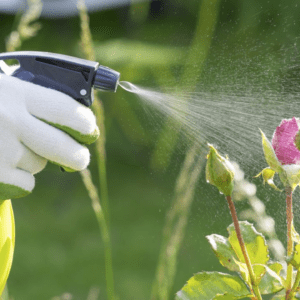 Insecticidas y Fungicidas