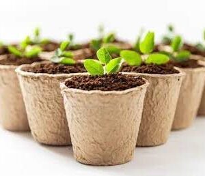 Macetas biodegradables