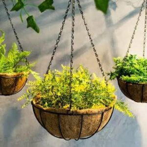 Maceta de fibra de coco