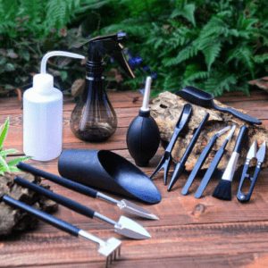 Kit de herramientas para jardín - Suculentas
