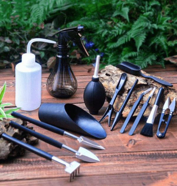 Kit de herramientas para jardín - Suculentas