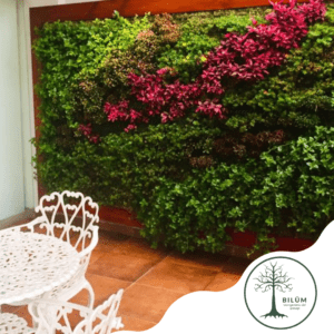 Diseño e instalación de muros verdes y jardines verticales (naturales y ecológicos-artificiales)